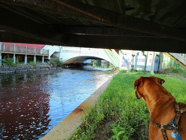 Representative image for Saranac Lake, New York