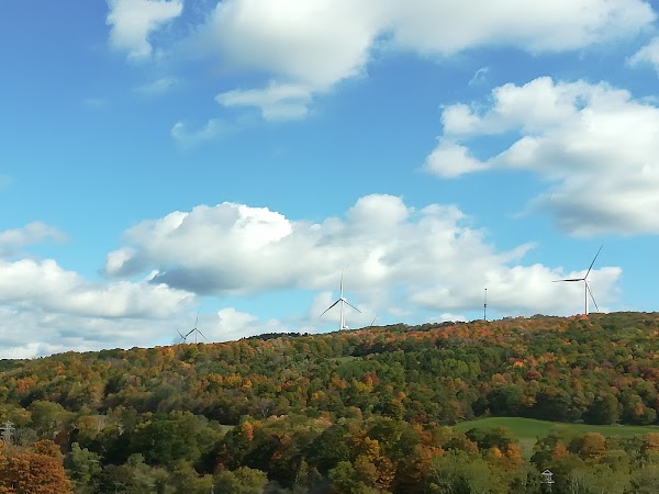 Representative image for Stony Brook, New York