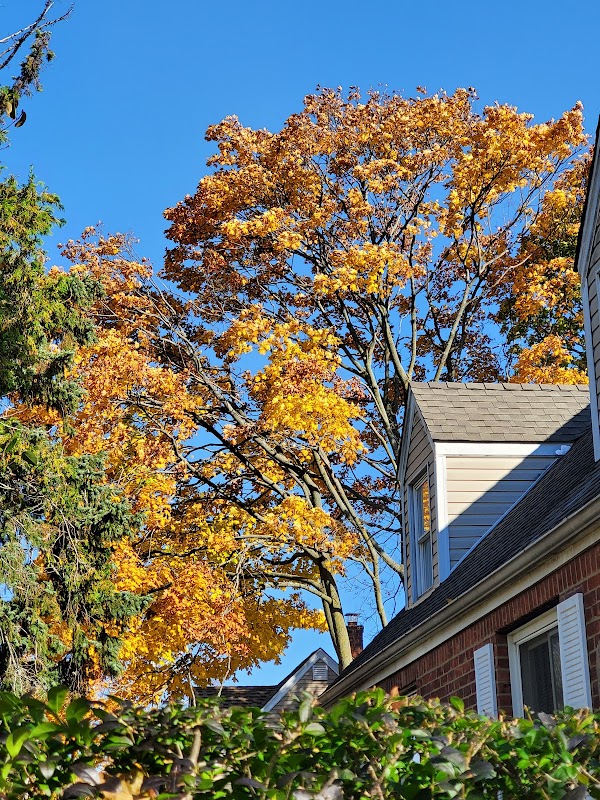 Representative image for Uniondale, New York