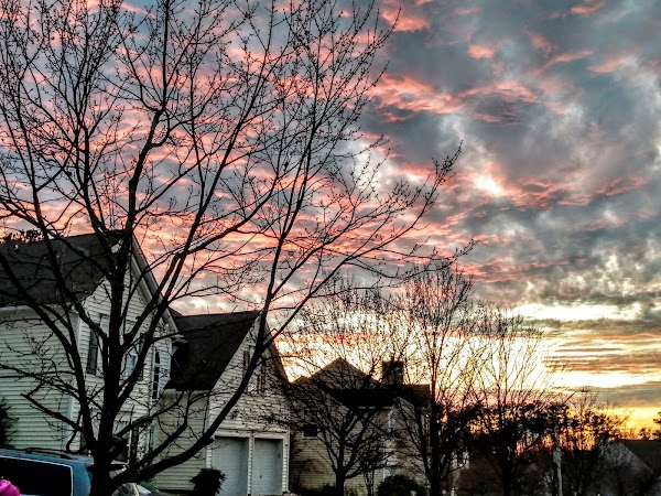 Representative image for Holly Springs, North Carolina
