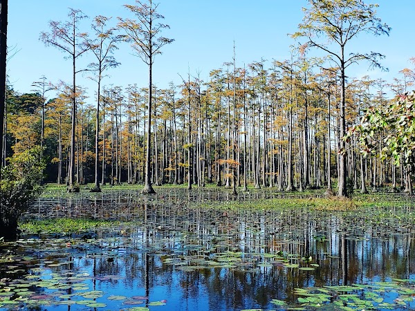 Representative image for Laurinburg, North Carolina