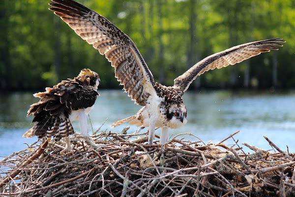 Representative image for Moyock, North Carolina