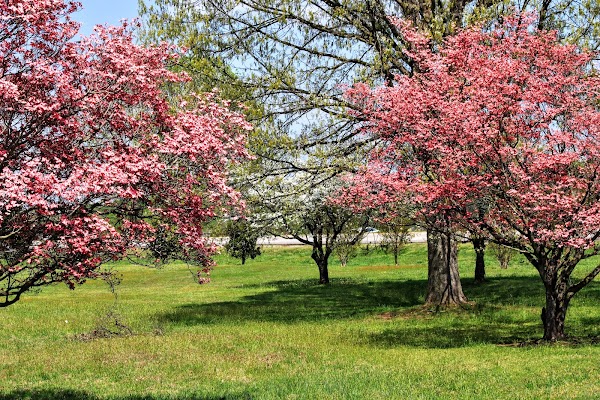 Representative image for Statesville, North Carolina
