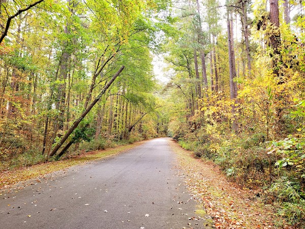 Representative image for Vass, North Carolina