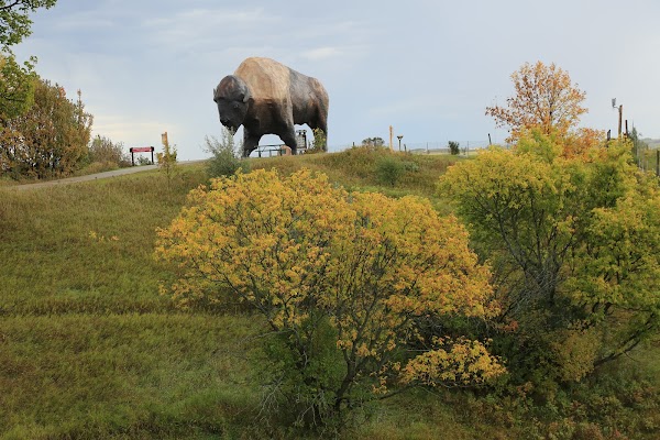 Representative image for Jamestown, North Dakota