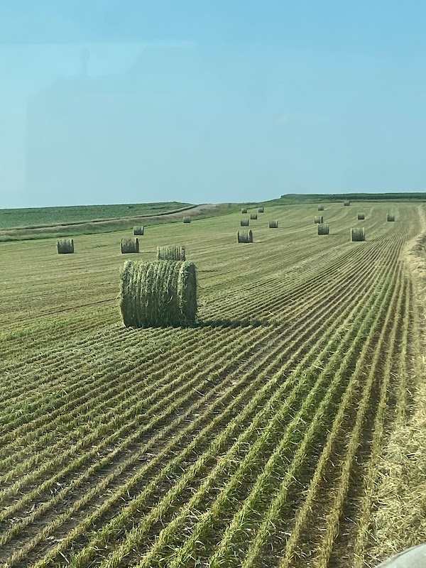 Representative image for Strasburg, North Dakota