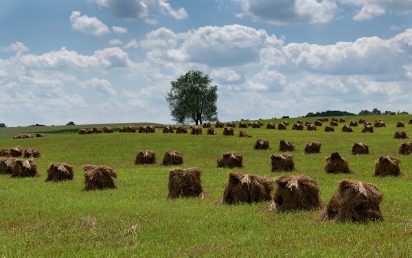 Representative image for Berlin, Ohio