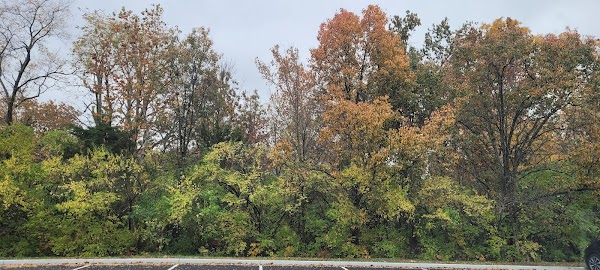 Representative image for Blue Ash, Ohio
