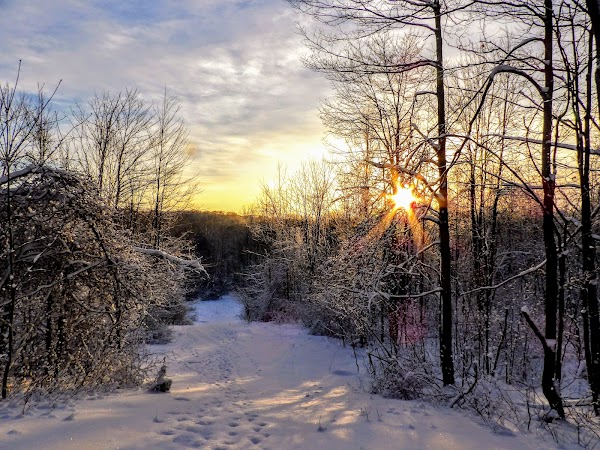 Representative image for Chardon, Ohio
