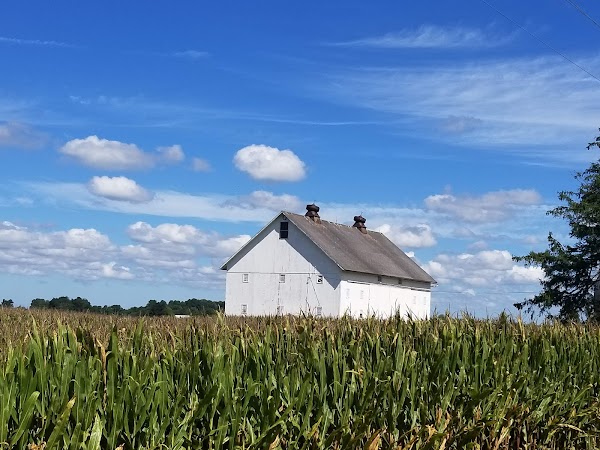 Representative image for Greenfield, Ohio