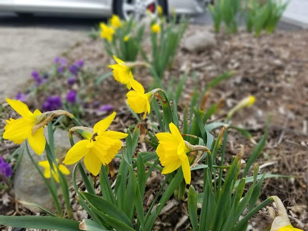 Representative image for Grove City, Ohio