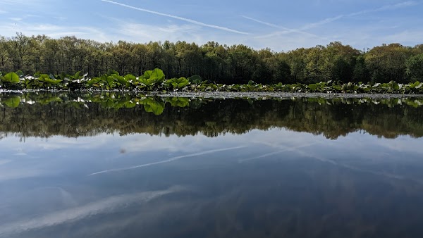 Representative image for Mineral Ridge, Ohio