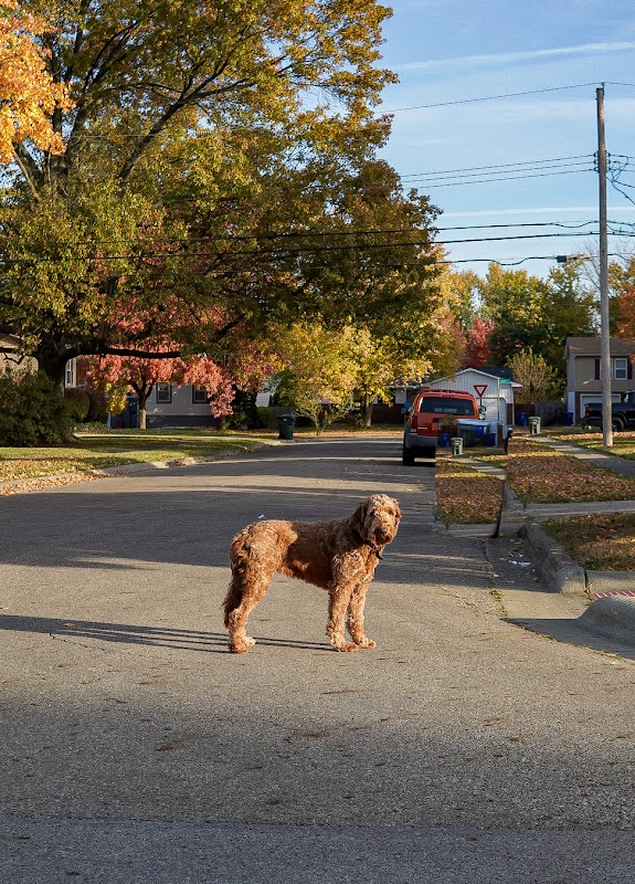 Representative image for Reynoldsburg, Ohio