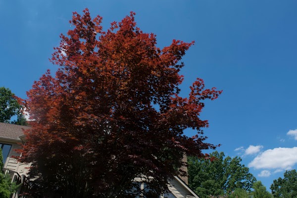Representative image for Solon, Ohio