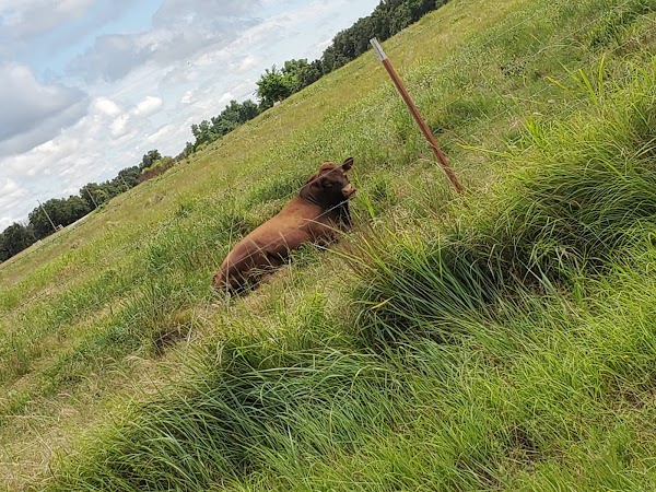 Representative image for Duncan, Oklahoma
