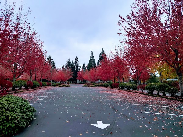 Representative image for Beaverton, Oregon