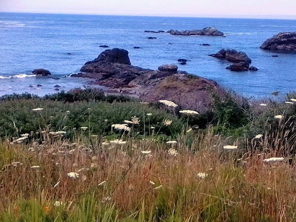 Representative image for Brookings, Oregon