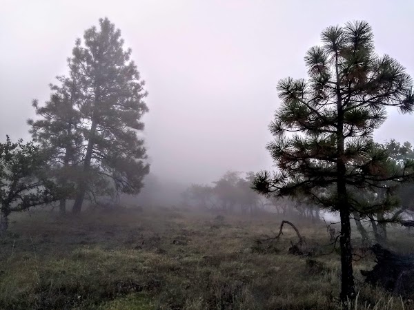 Representative image for Central Point, Oregon