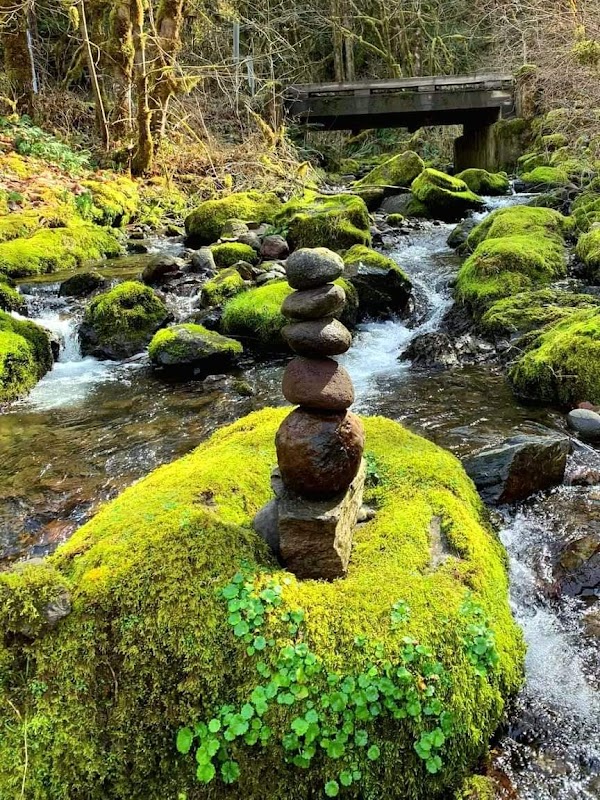Representative image for Corvallis, Oregon