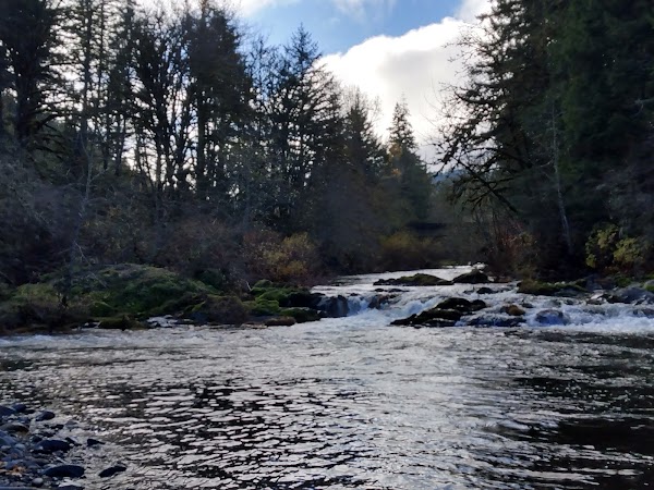 Representative image for Cottage Grove, Oregon