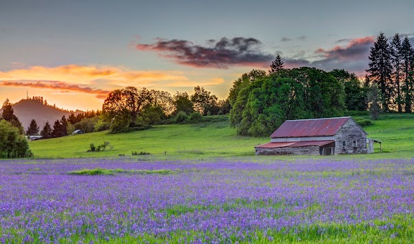 Representative image for Lebanon, Oregon