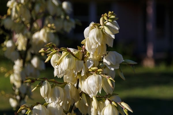 Representative image for Oakridge, Oregon
