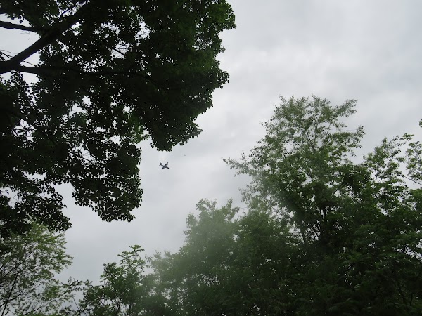 Representative image for Avoca, Pennsylvania