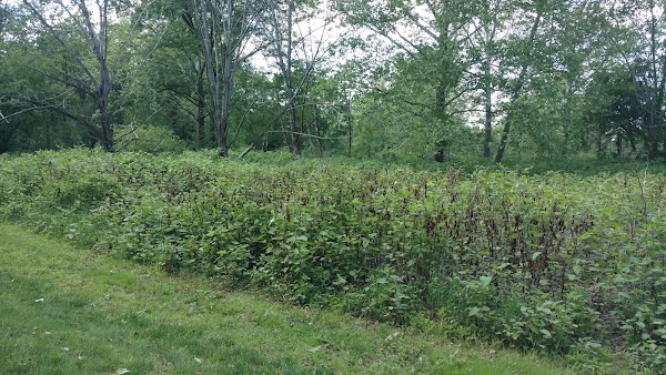 Representative image for Blairsville, Pennsylvania