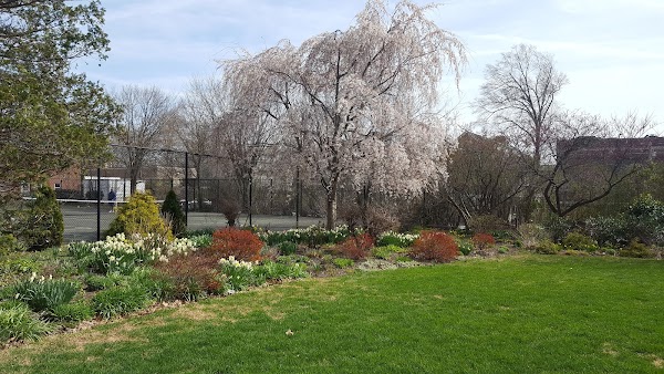 Representative image for Bryn Mawr, Pennsylvania