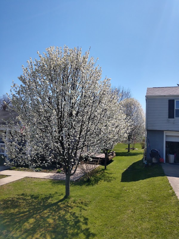 Representative image for North Huntingdon, Pennsylvania