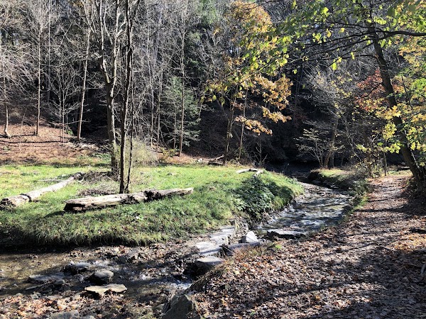 Representative image for Shaler Township, Pennsylvania