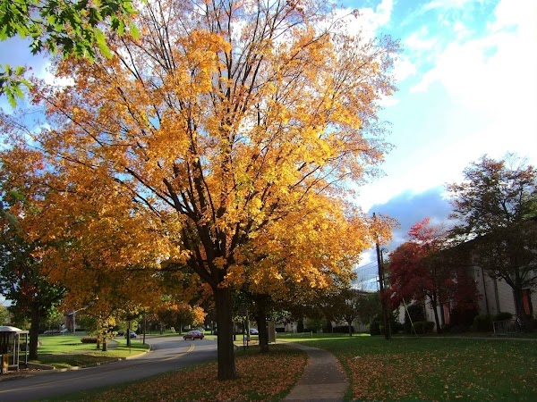 Representative image for State College, Pennsylvania