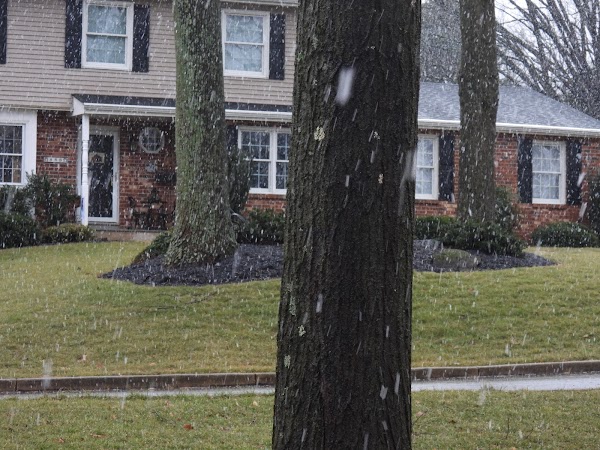 Representative image for West Chester, Pennsylvania