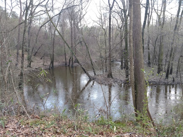 Representative image for Cayce, South Carolina