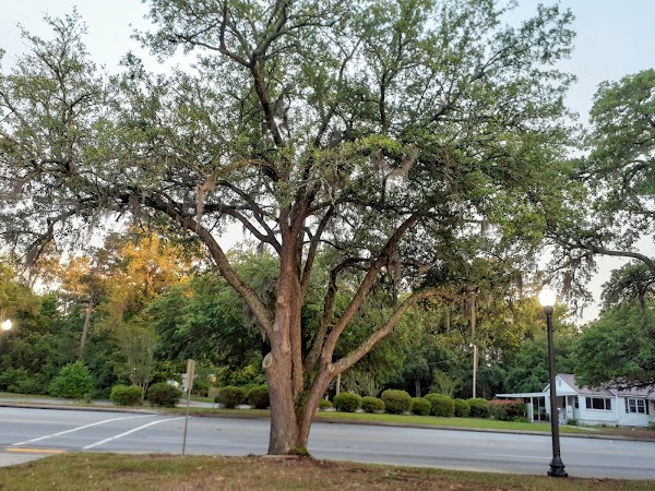 Representative image for Moncks Corner, South Carolina