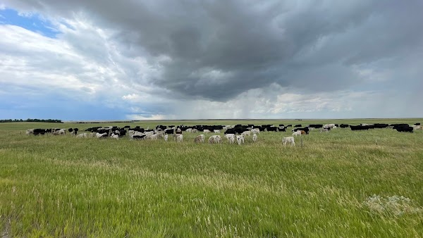 Representative image for Martin, South Dakota