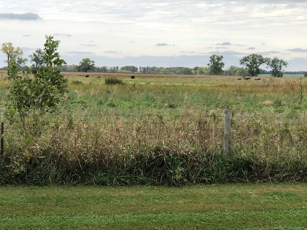 Representative image for Salem, South Dakota