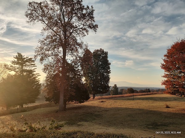 Representative image for Cleveland, Tennessee