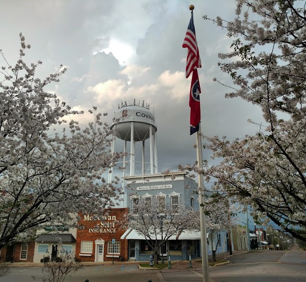 Representative image for Covington, Tennessee