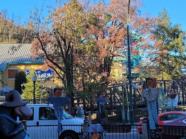 Representative image for Gatlinburg, Tennessee