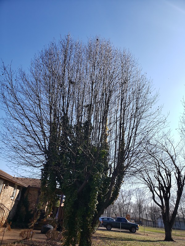 Representative image for Goodlettsville, Tennessee