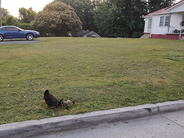 Representative image for Lafollette, Tennessee