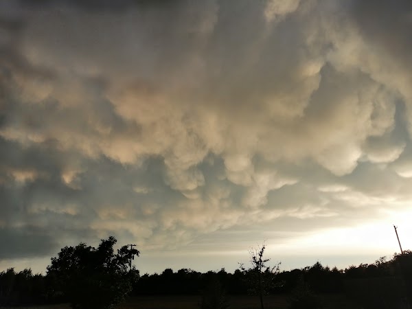Representative image for Dalhart, Texas