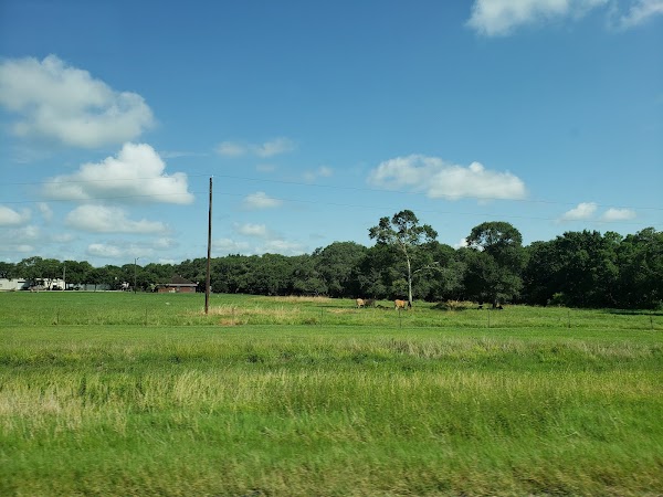 Representative image for El Campo, Texas