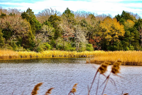Representative image for Fairfield, Texas