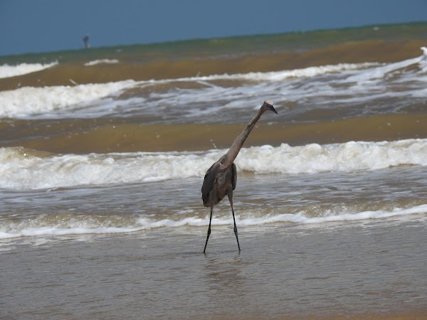 Representative image for Freeport, Texas