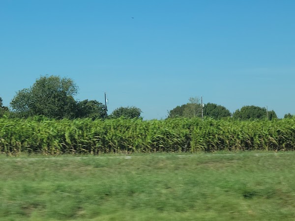 Representative image for Grandview, Texas