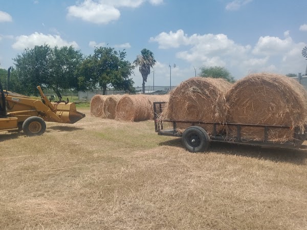 Representative image for Harlingen, Texas
