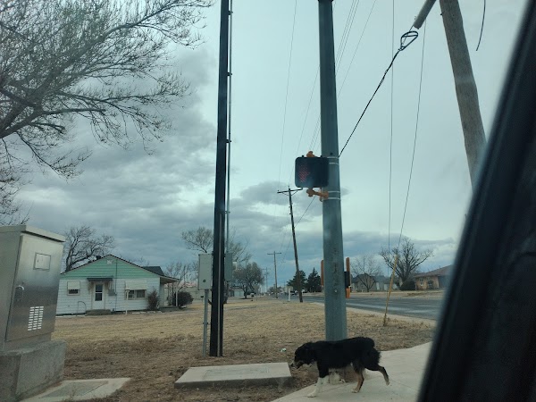 Representative image for Hereford, Texas