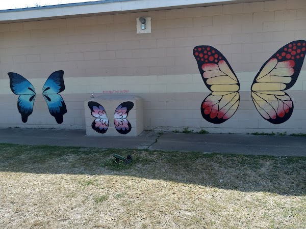 Representative image for Kingsville, Texas